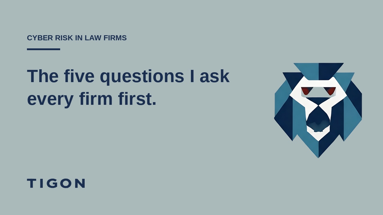 Tigon: The five questions I ask every firm first.